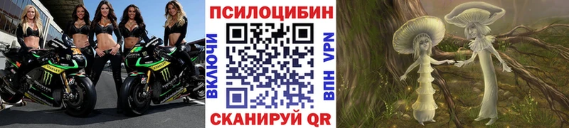 Галлюциногенные грибы Psilocybine cubensis  Нижний Ломов 